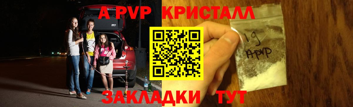 APVP СК Бийск
