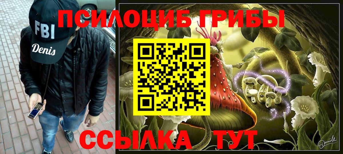 Псилоцибиновые грибы Psilocybine cubensis  Вход с VPN  Псилоцибиновые грибы Psilocybine cubensis  Бийск 