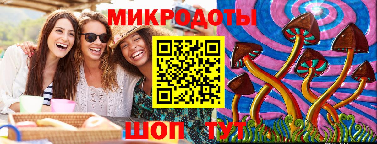 Псилоцибиновые грибы Psilocybine cubensis Бийск