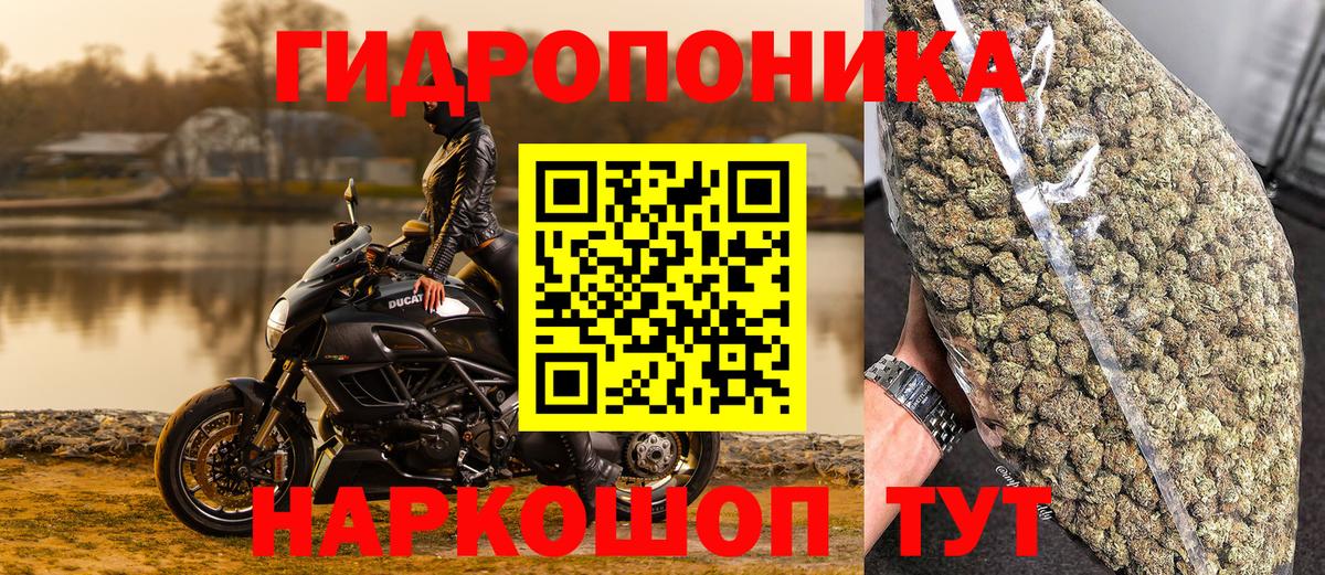 Марихуана индика  Вход с VPN  Каннабис Amnesia  Канабис SATIVA & INDICA  Бийск 